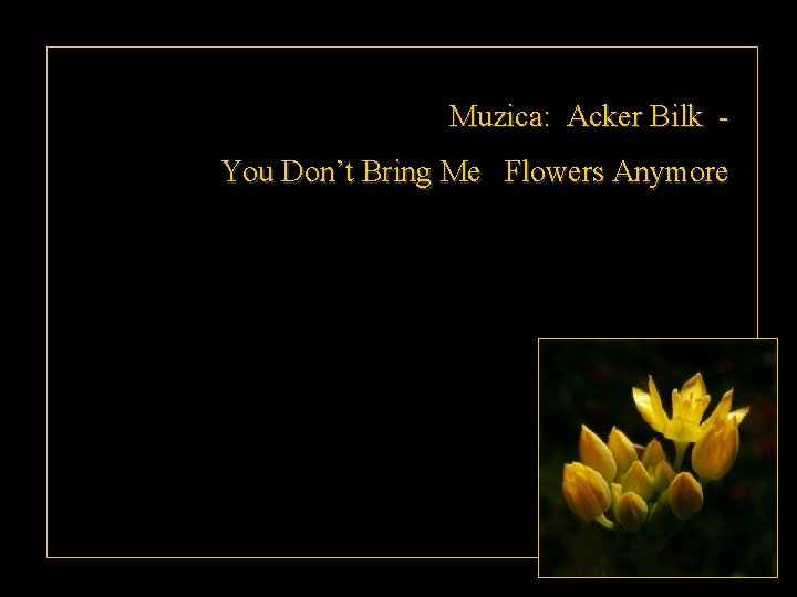 Muzica: Acker Bilk You Don’t Bring Me Flowers Anymore 