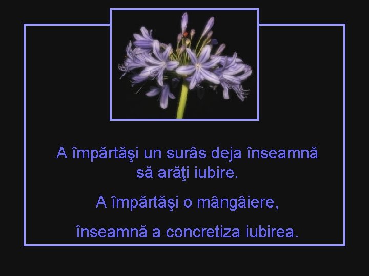 A împărtăşi un surâs deja înseamnă să arăţi iubire. A împărtăşi o mângâiere, înseamnă