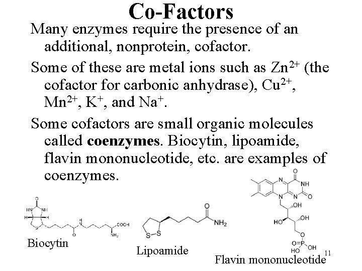 Co-Factors Many enzymes require the presence of an additional, nonprotein, cofactor. Some of these