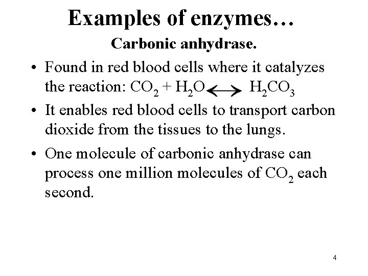 Examples of enzymes… Carbonic anhydrase. • Found in red blood cells where it catalyzes
