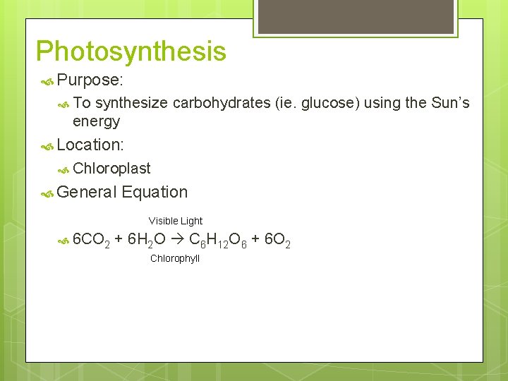 Photosynthesis Purpose: To synthesize carbohydrates (ie. glucose) using the Sun’s energy Location: Chloroplast General