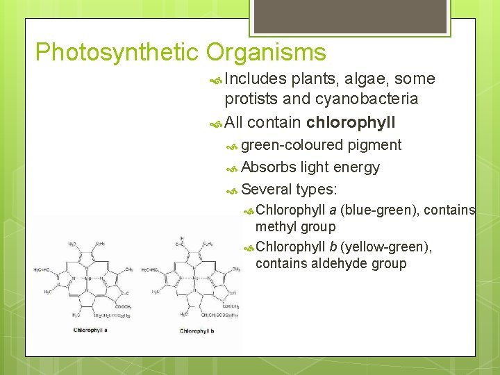 Photosynthetic Organisms Includes plants, algae, some protists and cyanobacteria All contain chlorophyll green-coloured pigment