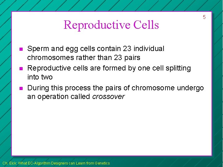 Reproductive Cells n n n 5 Sperm and egg cells contain 23 individual chromosomes