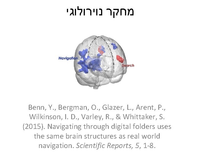  מחקר נוירולוגי Benn, Y. , Bergman, O. , Glazer, L. , Arent, P.