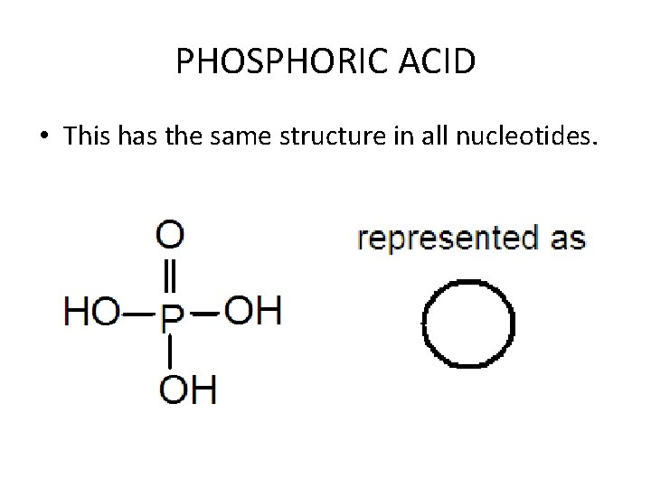 PHOSPHORIC ACID • This has the same structure in all nucleotides. 