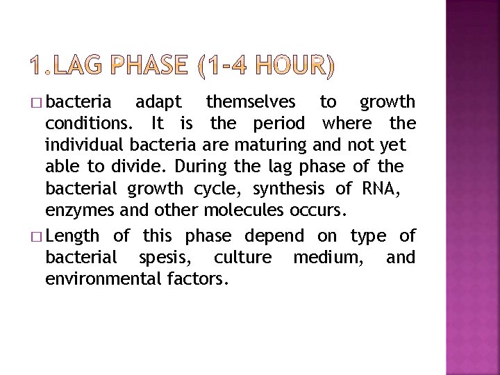 � bacteria adapt themselves to growth conditions. It is the period where the individual