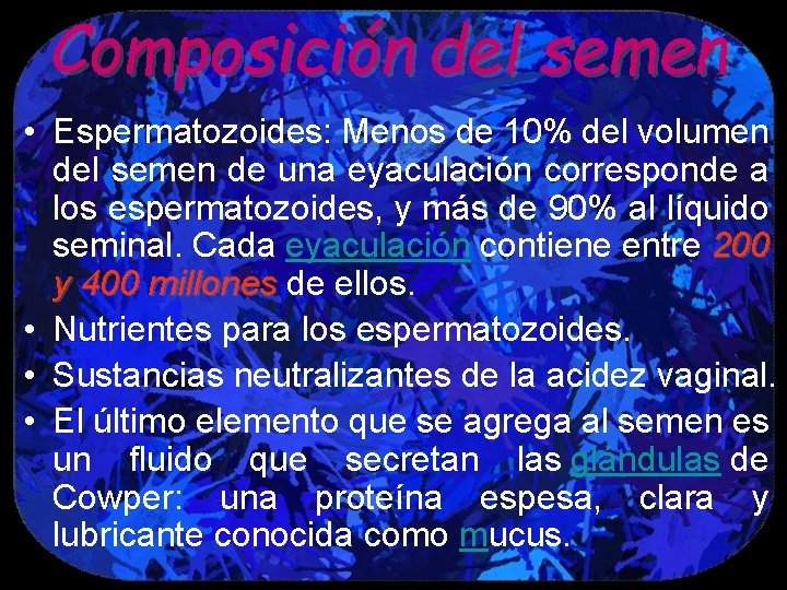 Composición del semen • Espermatozoides: Menos de 10% del volumen del semen de una