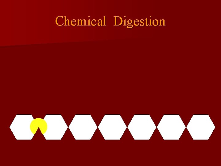 Chemical Digestion 