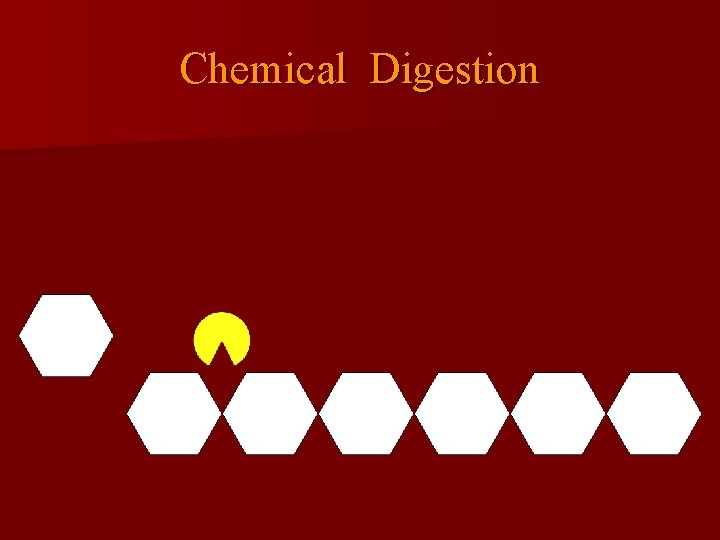 Chemical Digestion 