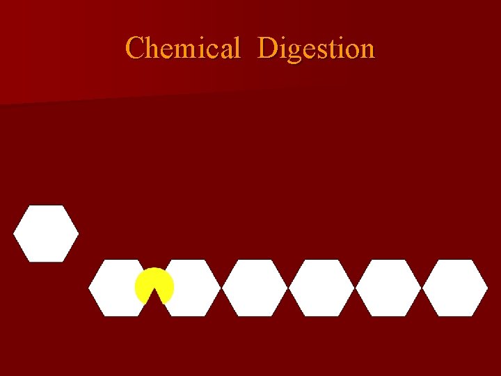 Chemical Digestion 