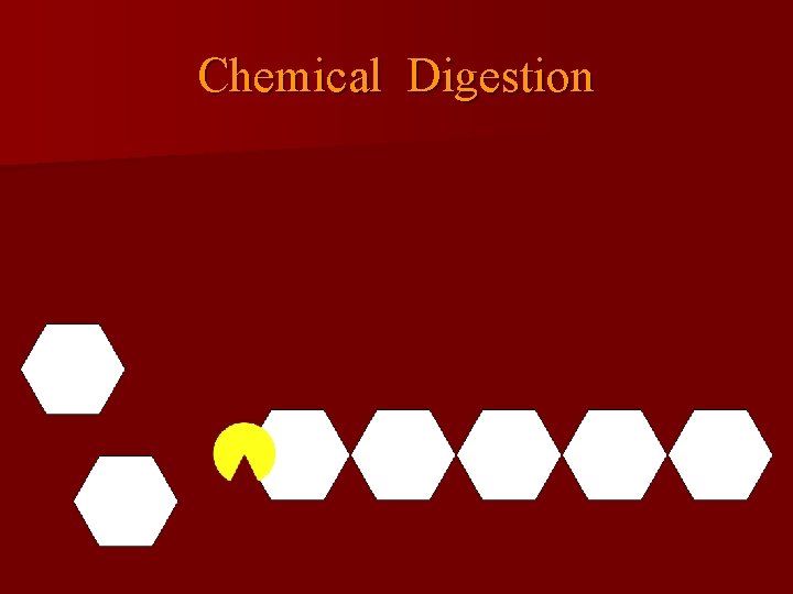 Chemical Digestion 