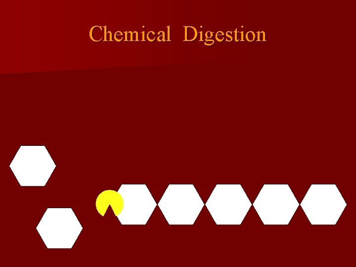 Chemical Digestion 