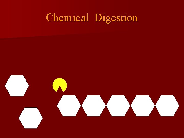 Chemical Digestion 