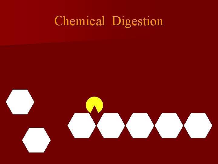 Chemical Digestion 