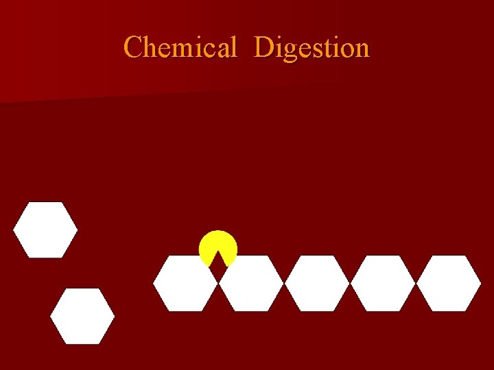 Chemical Digestion 