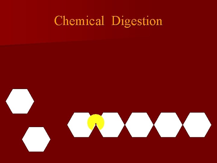 Chemical Digestion 