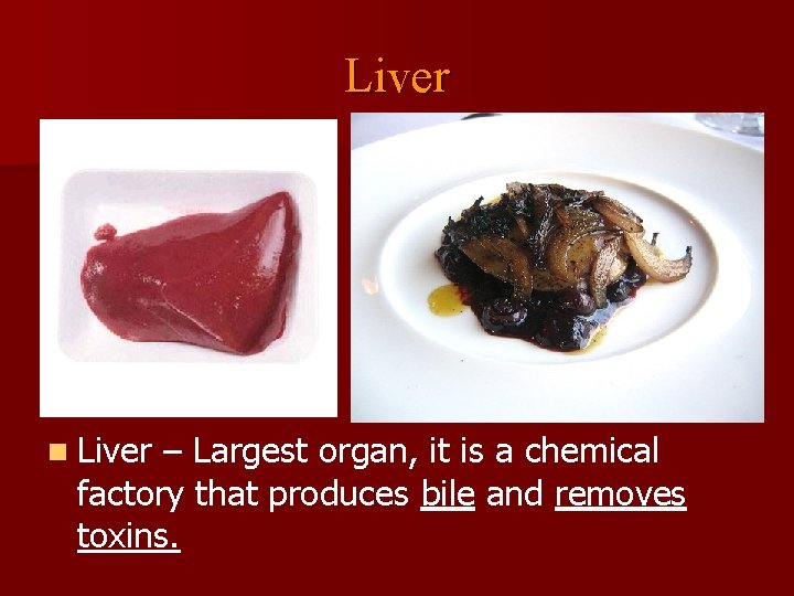 Liver n Liver – Largest organ, it is a chemical factory that produces bile