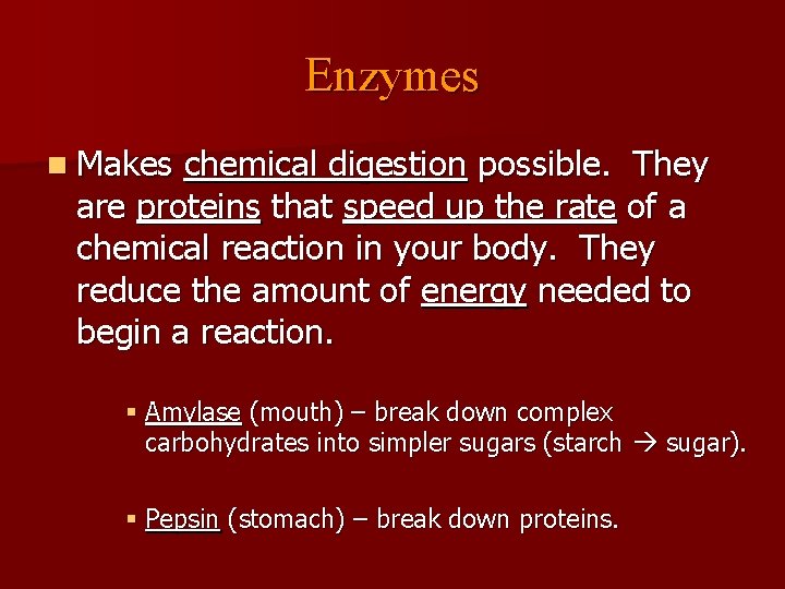 Enzymes n Makes chemical digestion possible. They are proteins that speed up the rate