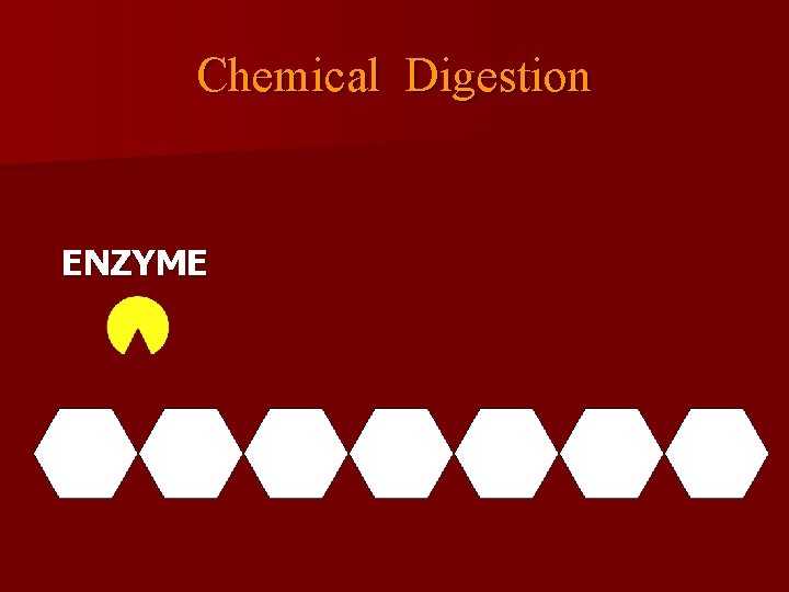 Chemical Digestion ENZYME 