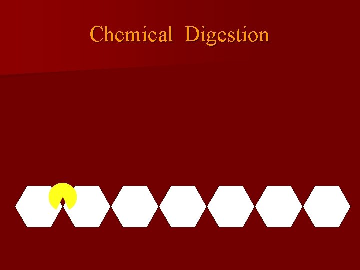Chemical Digestion 