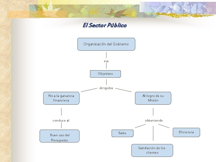 El Sector Público Organización del Gobierno sus Objetivos dirigidos No a la ganancia financiera