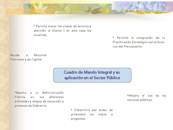 * Permite elevar los niveles de servicio y atención al cliente ( en este