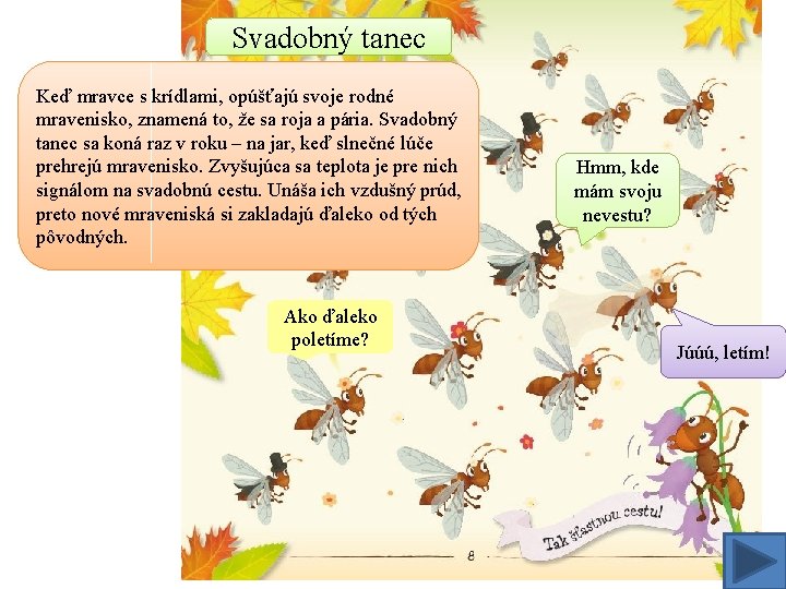 Svadobný tanec Keď mravce s krídlami, opúšťajú svoje rodné mravenisko, znamená to, že sa