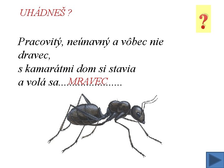 UHÁDNEŠ ? Pracovitý, neúnavný a vôbec nie dravec, s kamarátmi dom si stavia MRAVEC