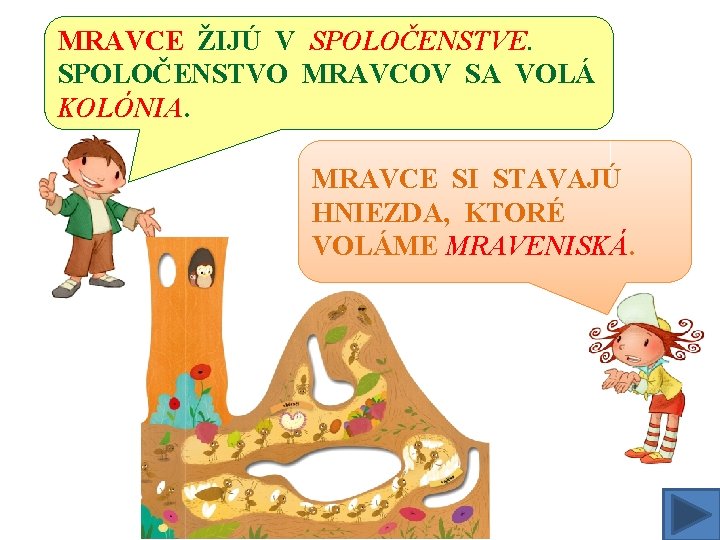 MRAVCE ŽIJÚ V SPOLOČENSTVE. SPOLOČENSTVO MRAVCOV SA VOLÁ KOLÓNIA. MRAVCE SI STAVAJÚ HNIEZDA, KTORÉ