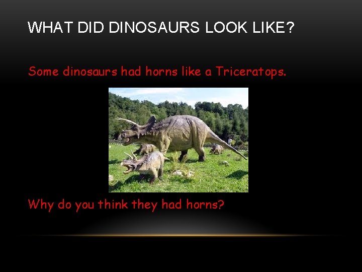 WHAT DID DINOSAURS LOOK LIKE? Some dinosaurs had horns like a Triceratops. Why do