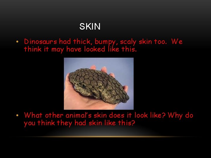 SKIN • Dinosaurs had thick, bumpy, scaly skin too. We think it may have