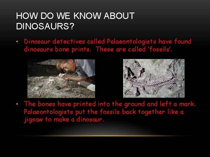 HOW DO WE KNOW ABOUT DINOSAURS? • Dinosaur detectives called Palaeontologists have found dinosaurs