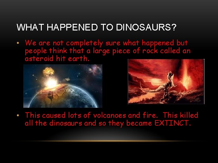 WHAT HAPPENED TO DINOSAURS? • We are not completely sure what happened but people