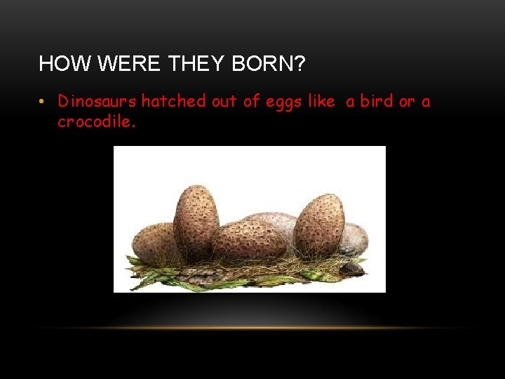 HOW WERE THEY BORN? • Dinosaurs hatched out of eggs like a bird or