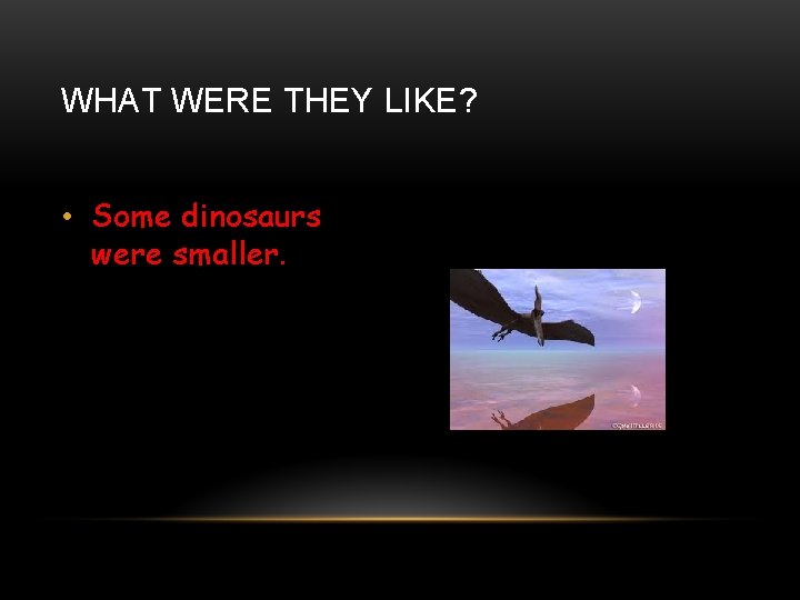 WHAT WERE THEY LIKE? • Some dinosaurs were smaller. 