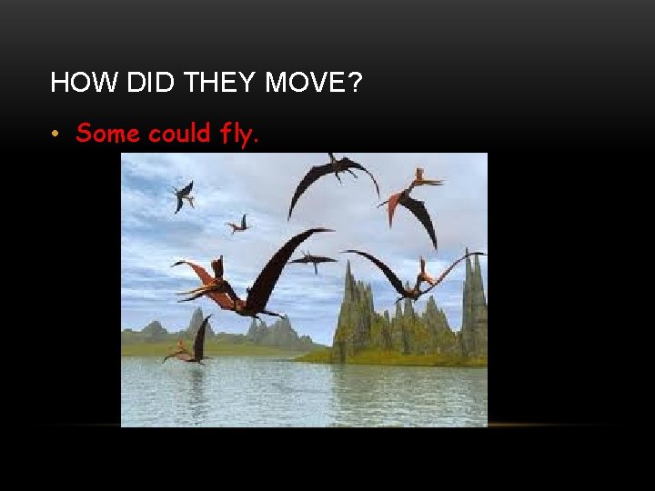 HOW DID THEY MOVE? • Some could fly. 