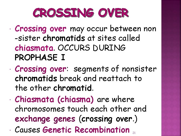 CROSSING OVER Crossing over may occur between non -sister chromatids at sites called chiasmata