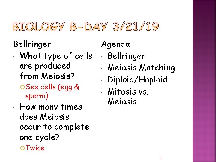 Bellringer What type of cells are produced from Meiosis? Sex cells (egg & sperm)