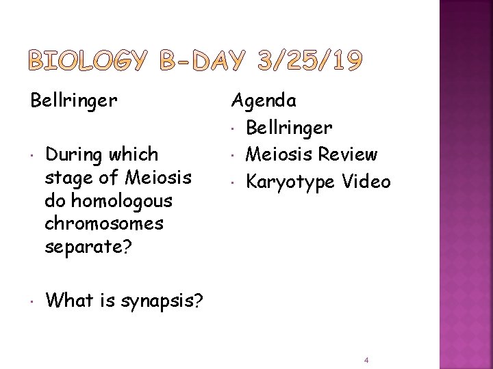 Bellringer During which stage of Meiosis do homologous chromosomes separate? Agenda Bellringer Meiosis Review