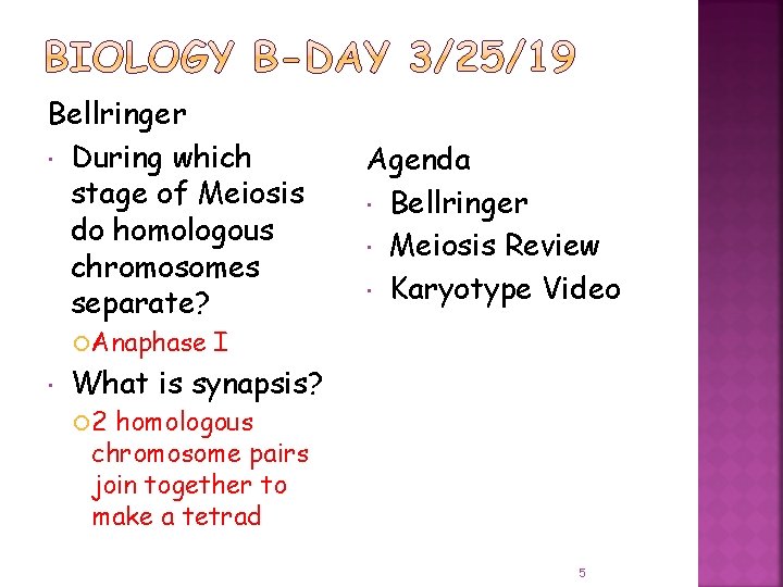 Bellringer During which stage of Meiosis do homologous chromosomes separate? Anaphase Agenda Bellringer Meiosis