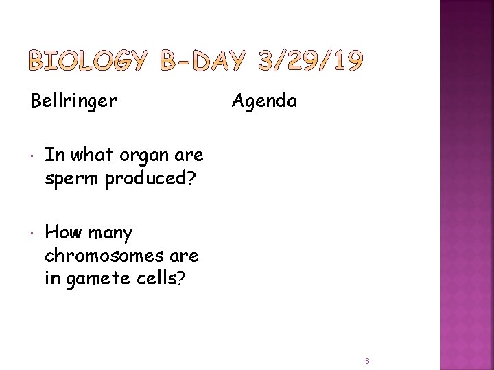 Bellringer Agenda In what organ are sperm produced? How many chromosomes are in gamete