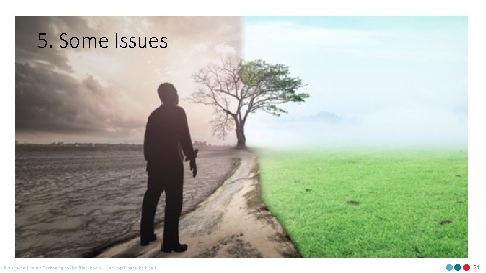 5. Some Issues Distributed Ledger Technologies like Blockchain… Looking Under the Hood 24 