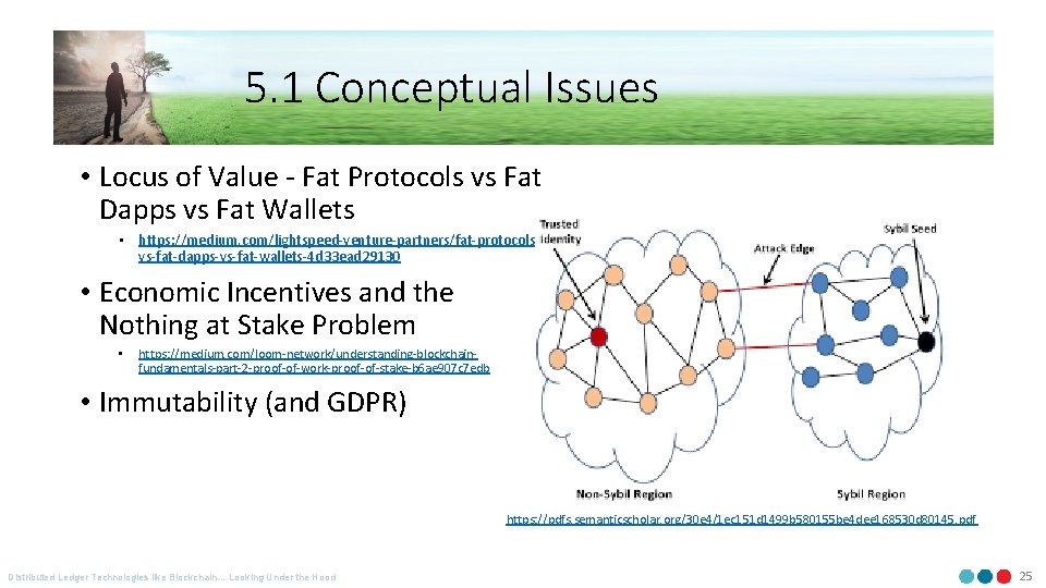 5. 1 Conceptual Issues • Locus of Value - Fat Protocols vs Fat Dapps