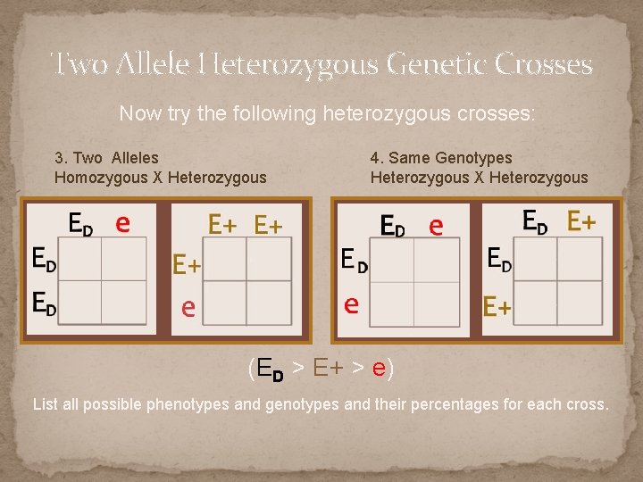 Two Allele Heterozygous Genetic Crosses Now try the following heterozygous crosses: 3. Two Alleles