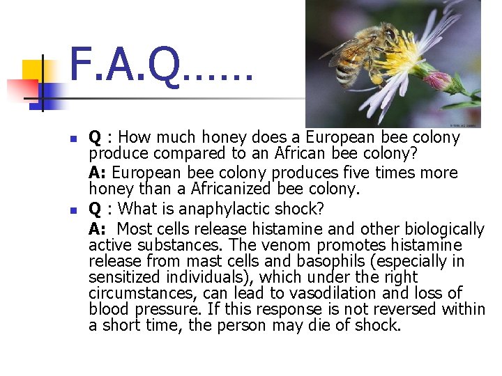 F. A. Q…… n n Q : How much honey does a European bee