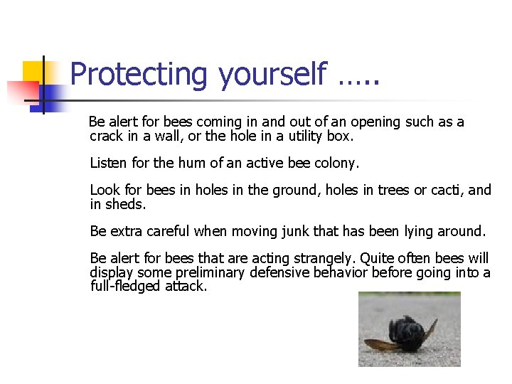 Protecting yourself …. . Be alert for bees coming in and out of an