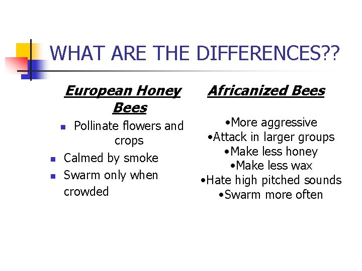 WHAT ARE THE DIFFERENCES? ? European Honey Bees Pollinate flowers and crops Calmed by