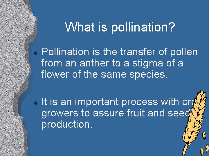 What is pollination? l l Pollination is the transfer of pollen from an anther