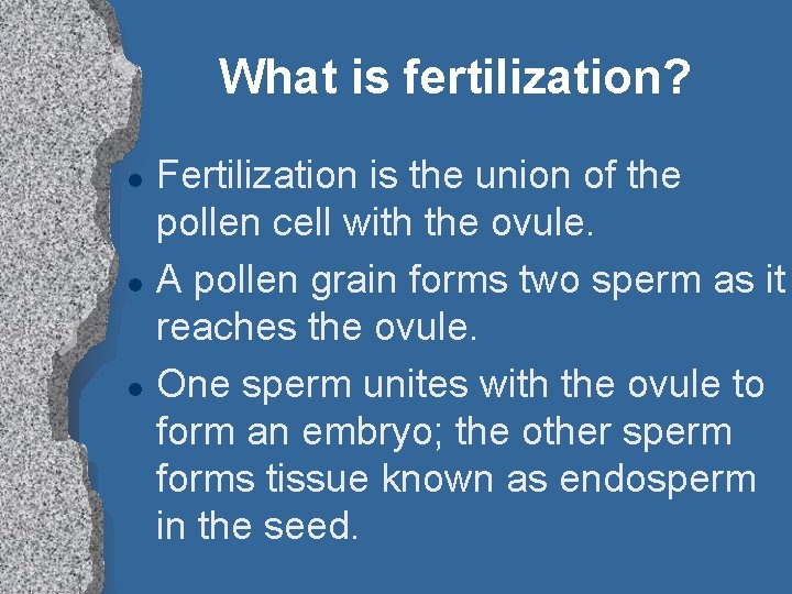 What is fertilization? l l l Fertilization is the union of the pollen cell