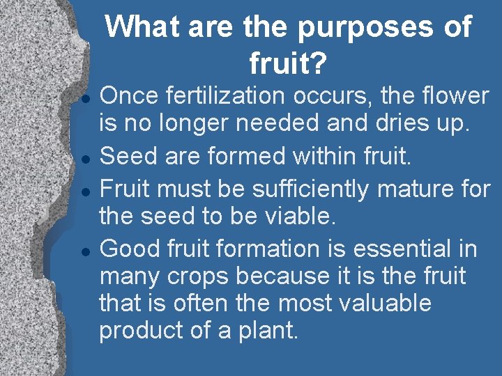 What are the purposes of fruit? l l Once fertilization occurs, the flower is